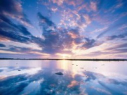 PROGRESSIVE SESSION ON THE SKY